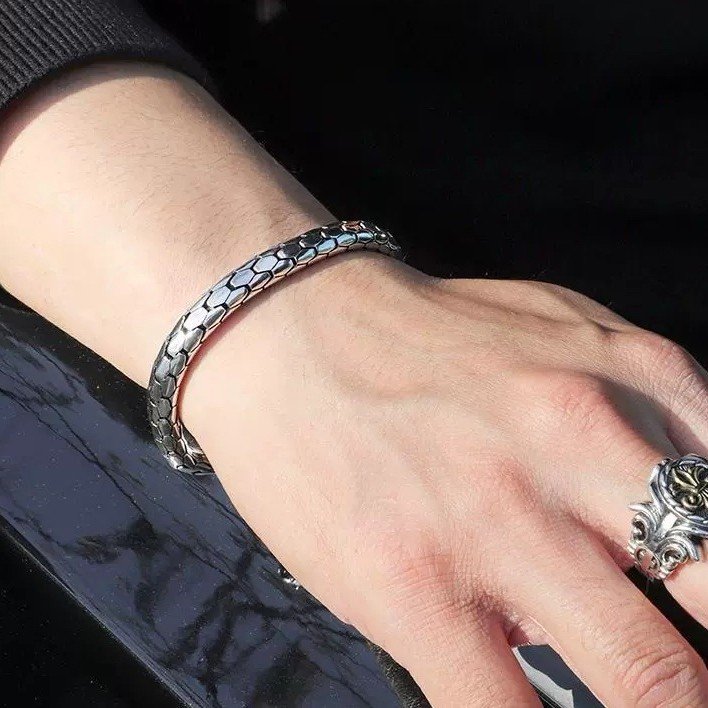Aesthetic Style Alloy Snake-Scale Bracelet Bracelet for Men - Image 3